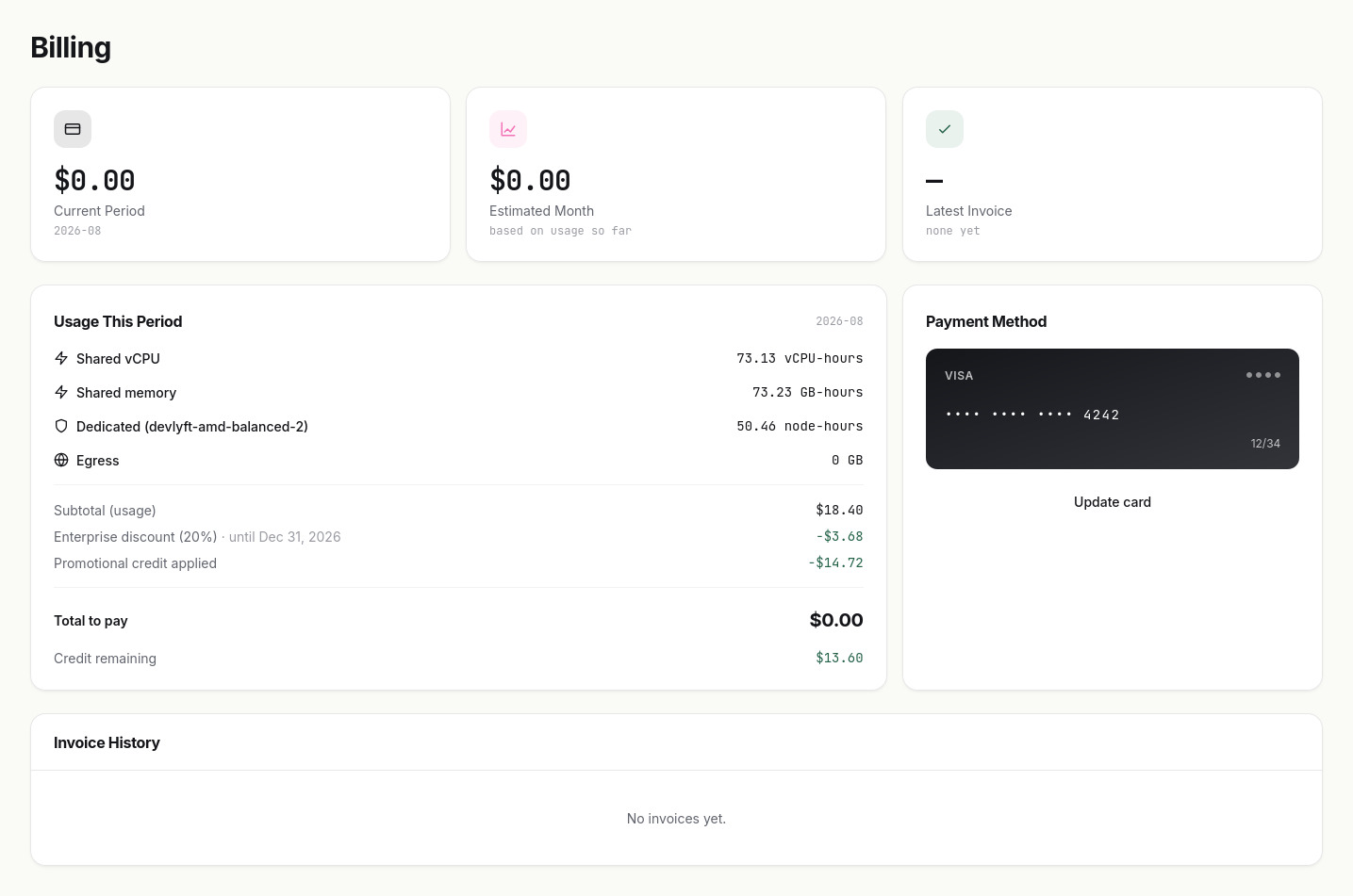 Usage and billing view in the DevLyft dashboard